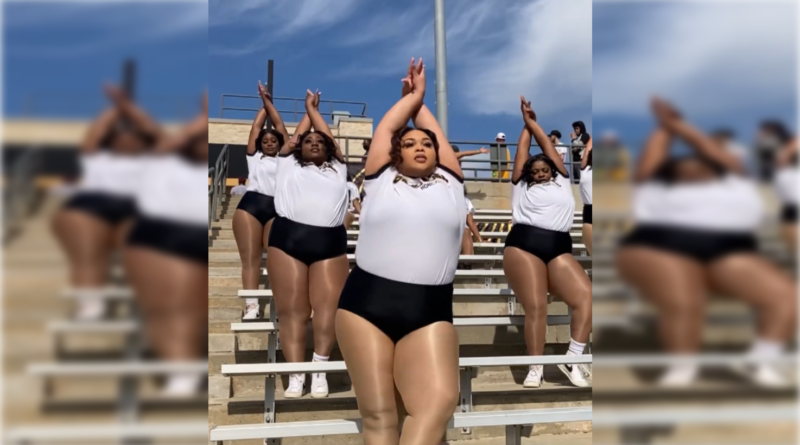 ASU HoneyBeez dance team in stands