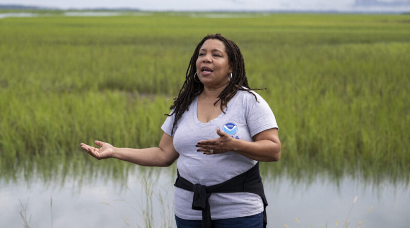 Gulah Geechee, South Carolina, gentrifier